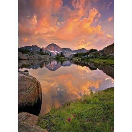 Komar / Into Illusions Edition 2 poszter