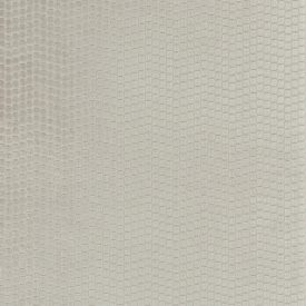 Camengo / Amazone textil