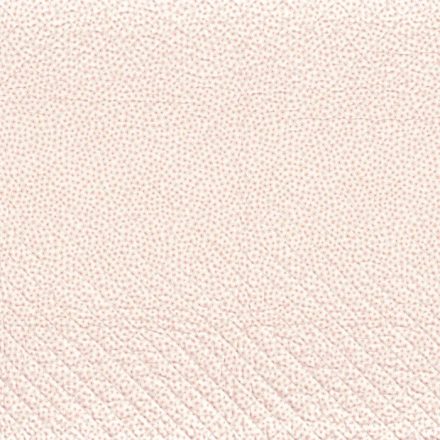 Camengo / Rose&Nino textil