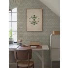 Boras / Anno tapéta