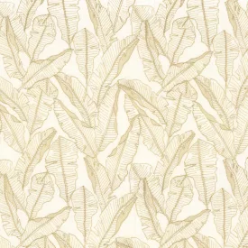 Camengo / Paradis textil