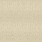 Boras / Woodland tapéta