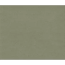 Camengo / Petropolis 2