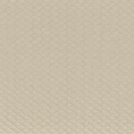 Camengo / Espuma textil