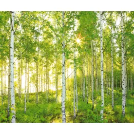 Komar / Into Illusions Edition 2 poszter