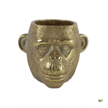 Werner / Planter Chimp
