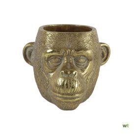 Werner / Planter Chimp big