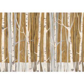 Tecnografica / Bioliving