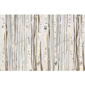 Tecnografica / Bioliving