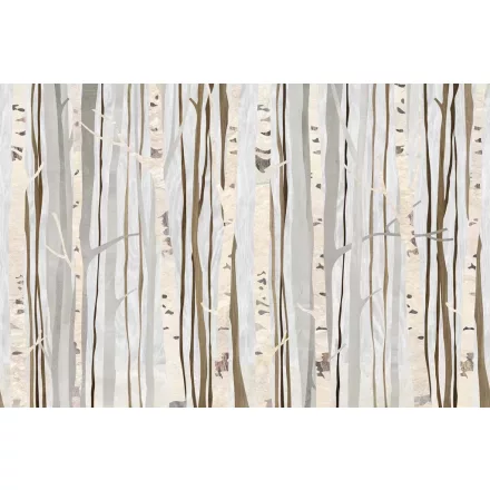 Tecnografica / Bioliving