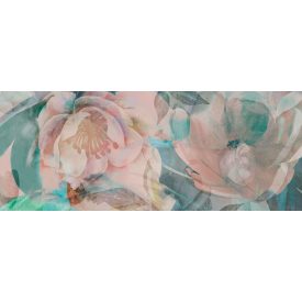 Tecnografica / Bioliving