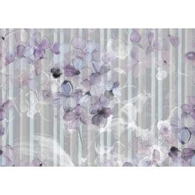 Tecnografica / Bioliving