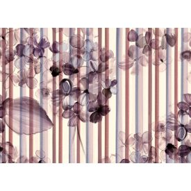 Tecnografica / Bioliving