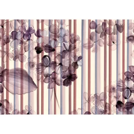 Tecnografica / Bioliving