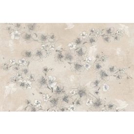 Tecnografica / Bioliving