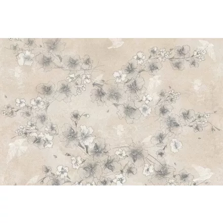 Tecnografica / Bioliving