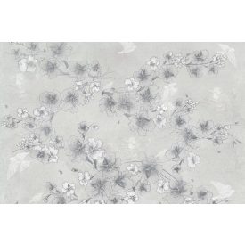 Tecnografica / Bioliving