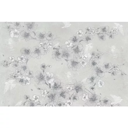 Tecnografica / Bioliving