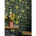 Boras / Orangeri tapéta