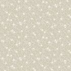 Boras / Orangeri tapéta