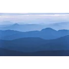 Komar / Infinity 1 poszter