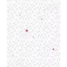 Komar / Infinity 1 poszter