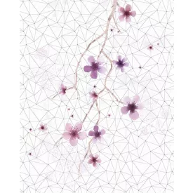 Komar / Infinity 1 poszter