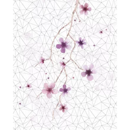 Komar / Infinity 1 poszter