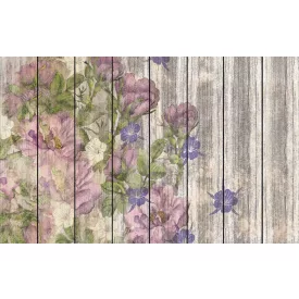 Komar / Infinity 1 poszter