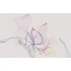 Komar / Infinity 1 poszter