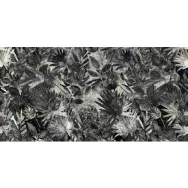 Tecnografica / Expedition