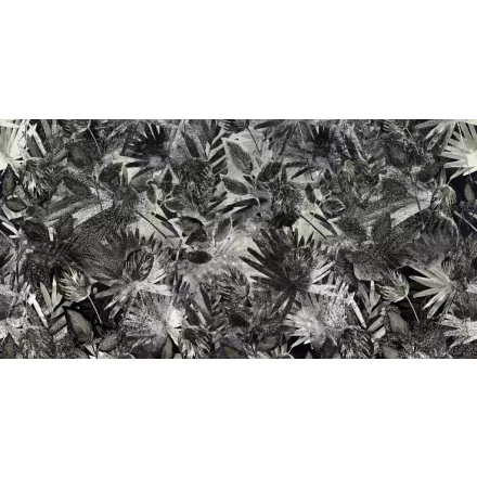 Tecnografica / Expedition