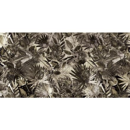 Tecnografica / Expedition