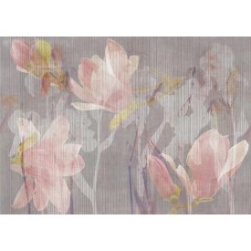 Tecnografica / Bioliving