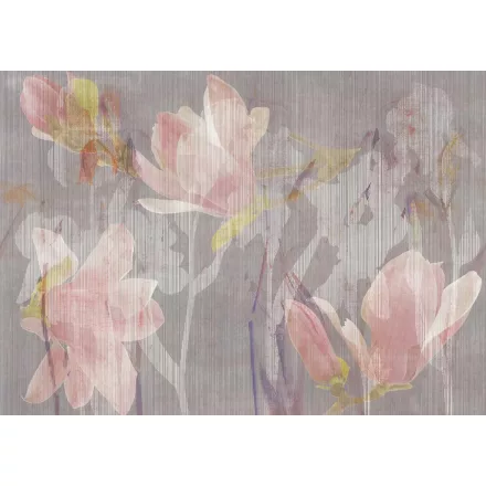 Tecnografica / Bioliving