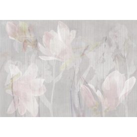 Tecnografica / Bioliving