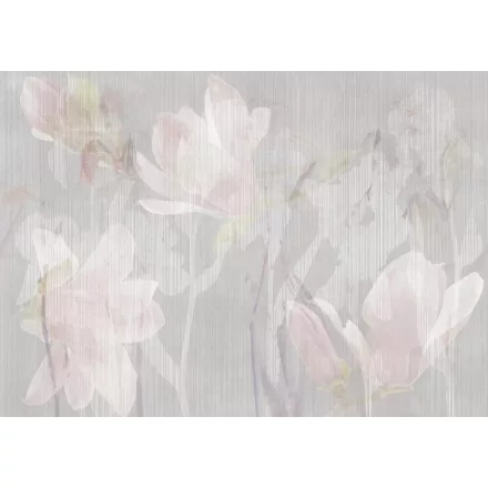 Tecnografica / Bioliving