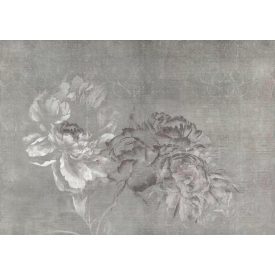 Tecnografica / Bioliving