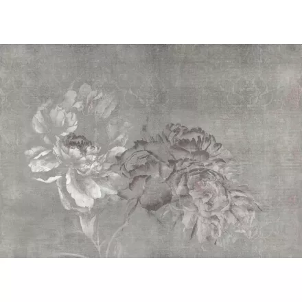 Tecnografica / Bioliving