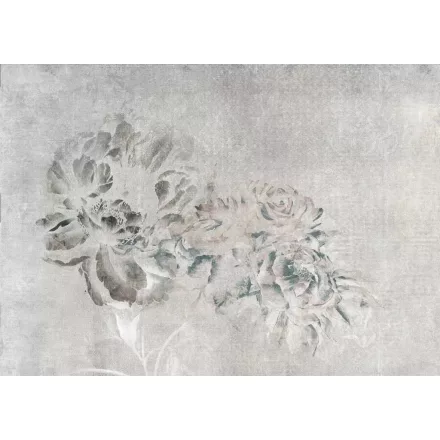 Tecnografica / Bioliving