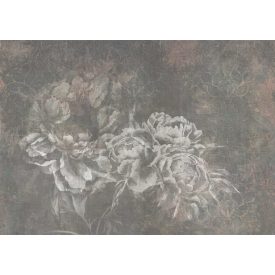 Tecnografica / Bioliving