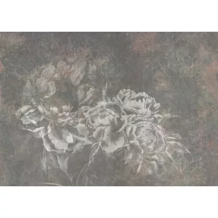 Tecnografica / Bioliving