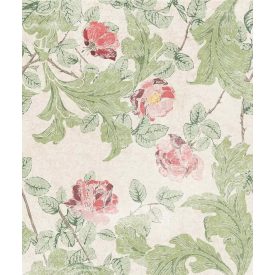 Tecnografica / Bioliving