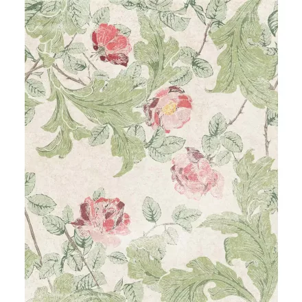 Tecnografica / Bioliving