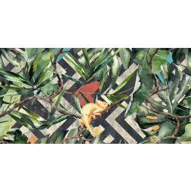 Tecnografica / Expedition