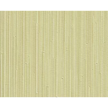 Tapéta / Lentex / Kai