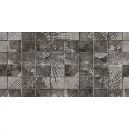 Tecnografica / Expedition