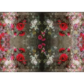 Tecnografica / Bioliving