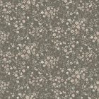 Boras / Newbie II tapéta