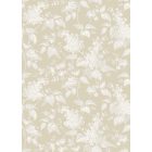 Boras / Österlen tapéta